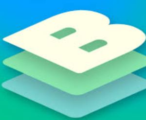 Bildr